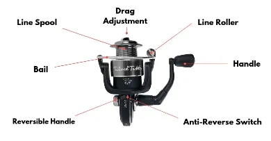 The basics of spinning a reel