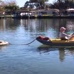 How to Carry a Cooler on a Kayak? 4 Ways to Carry a Cooler in 2022!