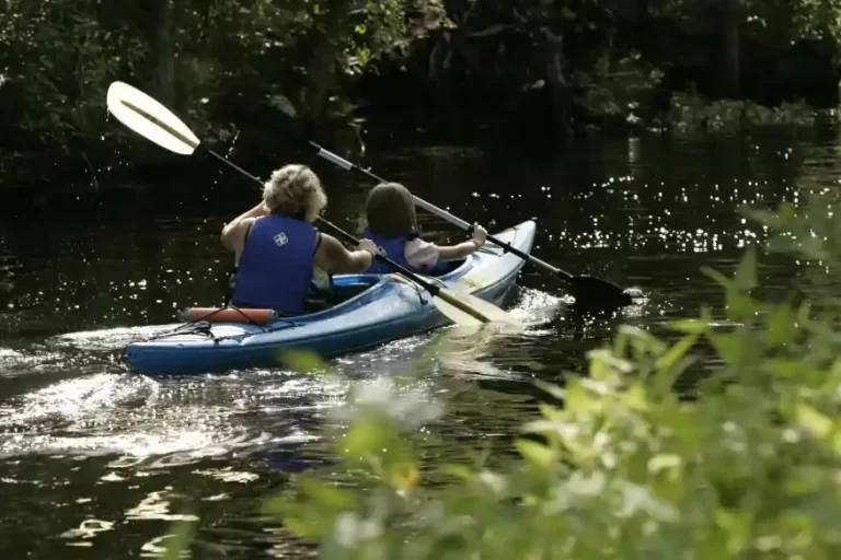 Top 7 places to kayak in Florida without alligators: In-depth guideline for 2023