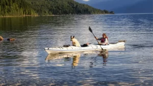 modifying kayak for dog
