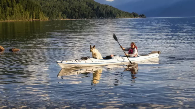 Easiest Way To Modifying Kayak For Dog Centric Travel