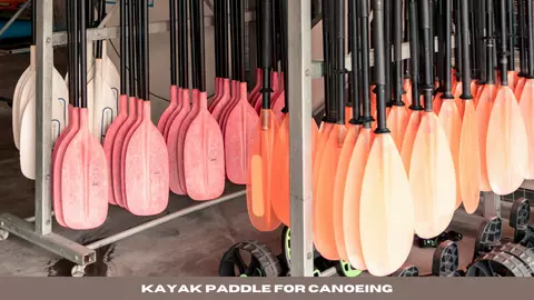 best kayak paddle for canoe