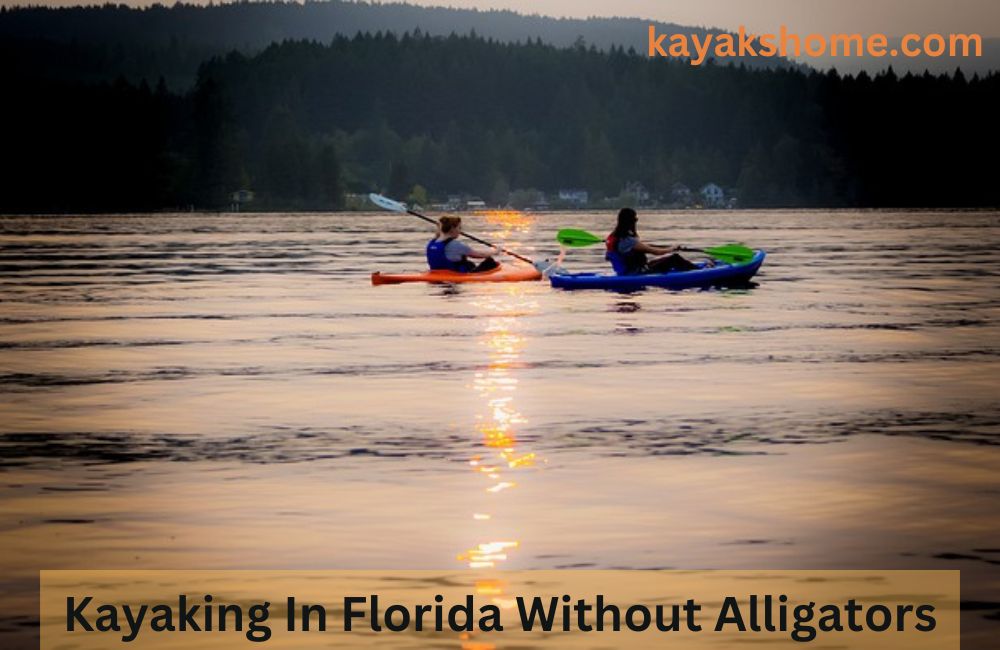 Kayaking In Florida Without Alligators